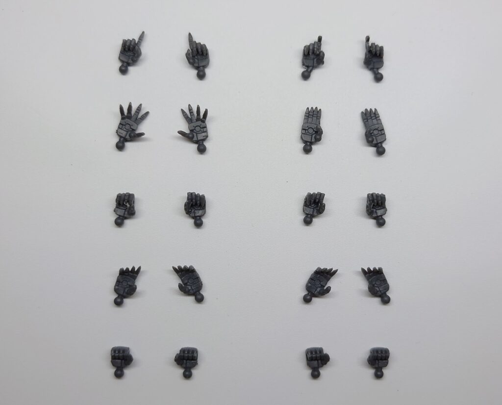 COREBODY SET B1-02　手比較