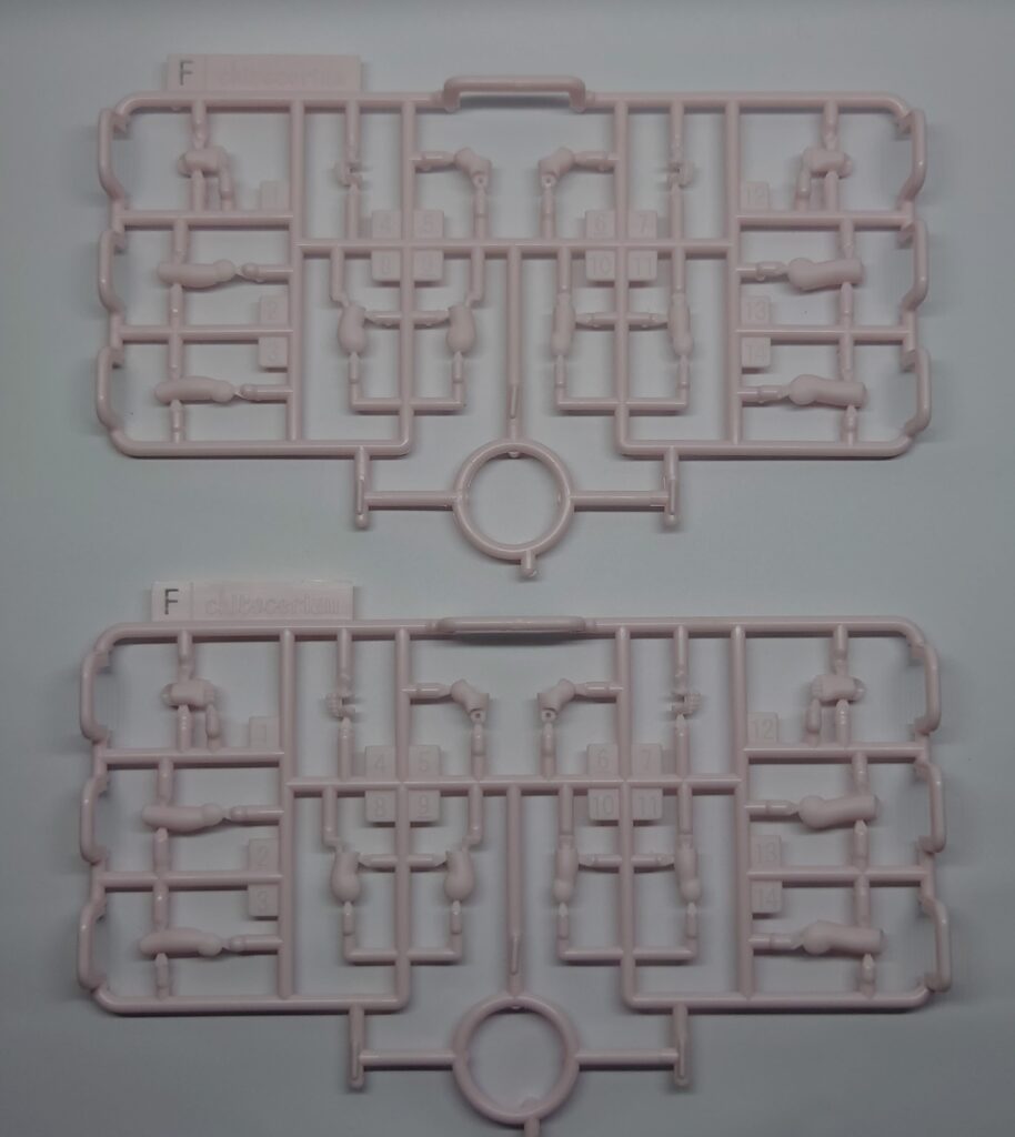 chitocerium-XCIX albere/C-efer ランナー4
