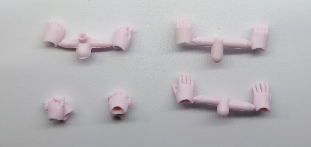 chitocerium-XCIX albere/C-efer お手て