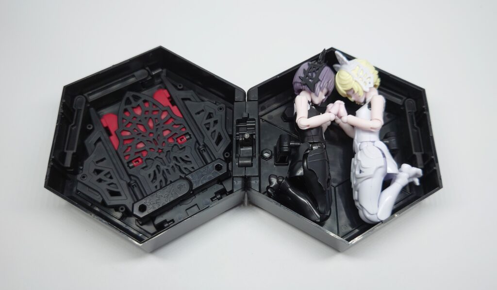 chitocerium-XCIX albere/C-efer BOX 開放